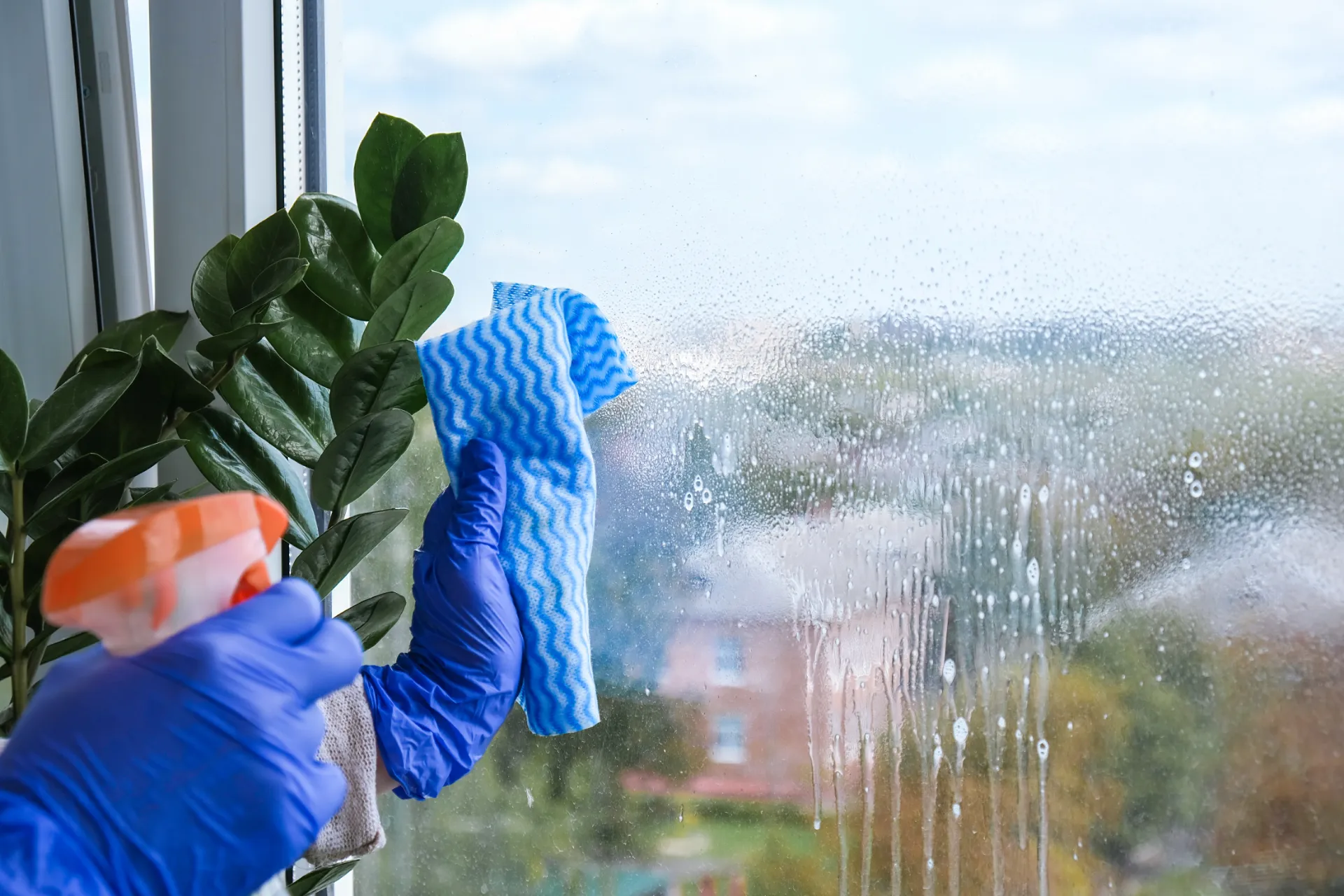 Pani Maid professional cleaning services Connecticut