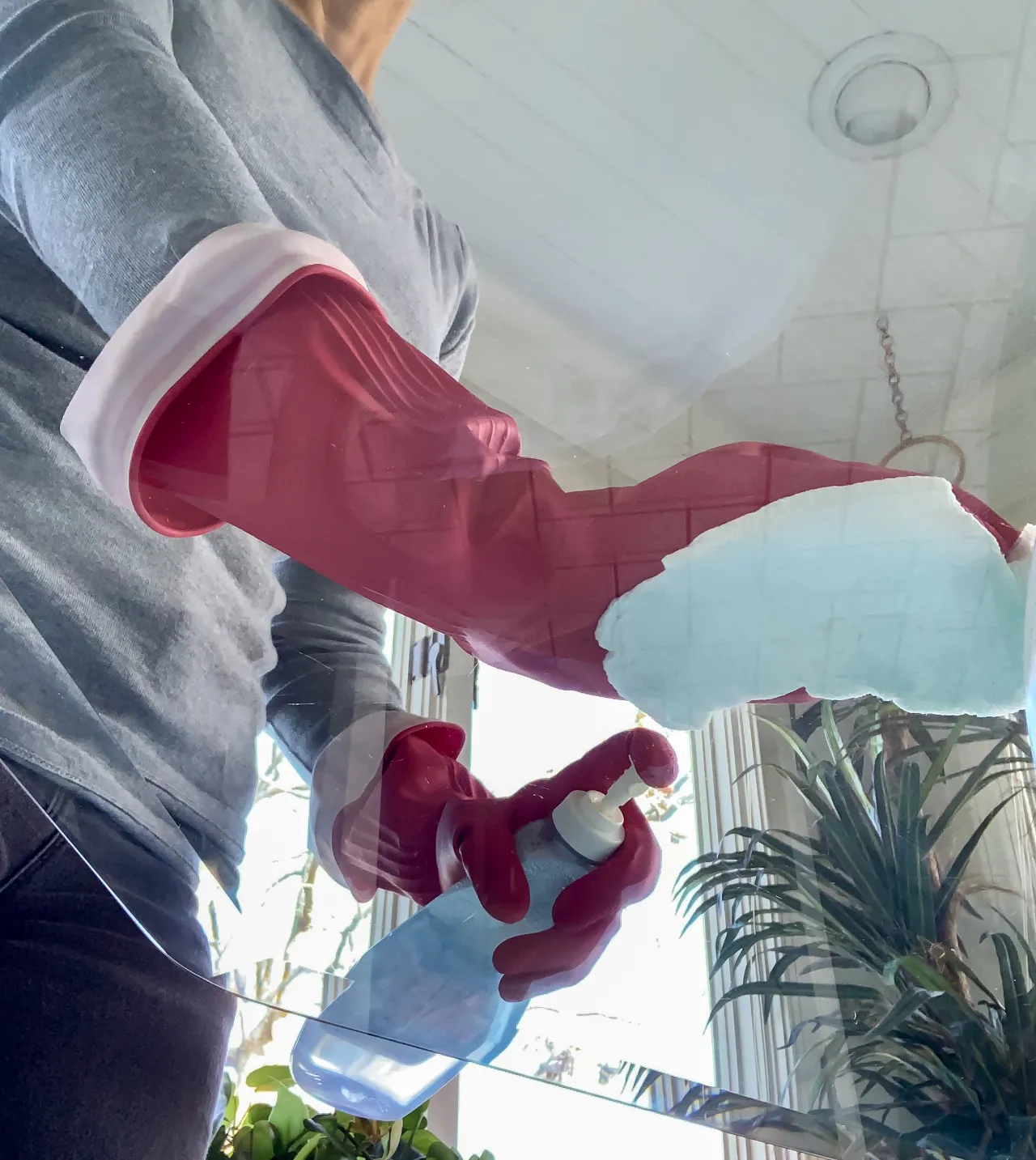 Pani Maid cleaning professional with equipment