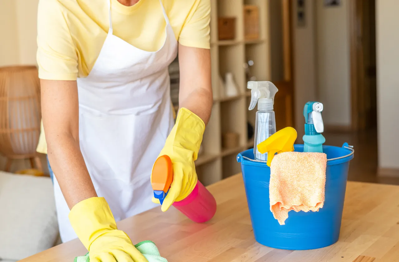 Pani Maid professional cleaning Connecticut homes