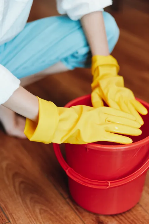 Pani Maid professional cleaning staff